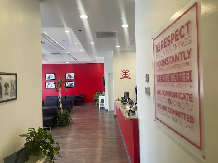 Metropolitan Animal Emergency and Specialty Center 12