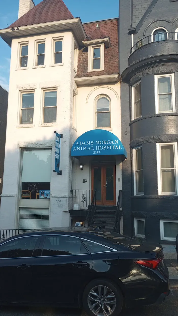 Adams Morgan Animal Hospital 12
