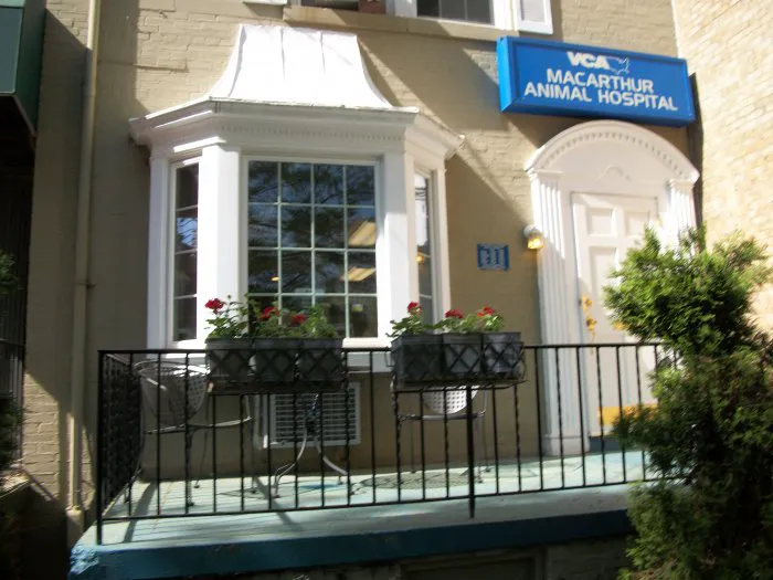 VCA MacArthur Animal Hospital 12