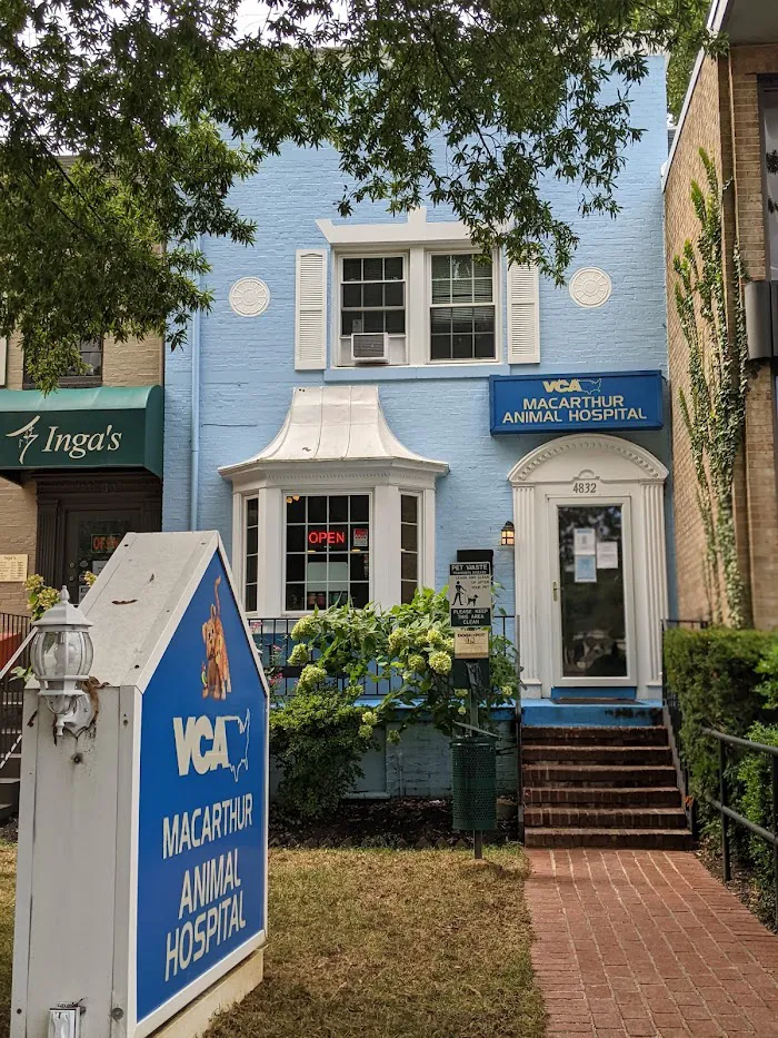 VCA MacArthur Animal Hospital 12