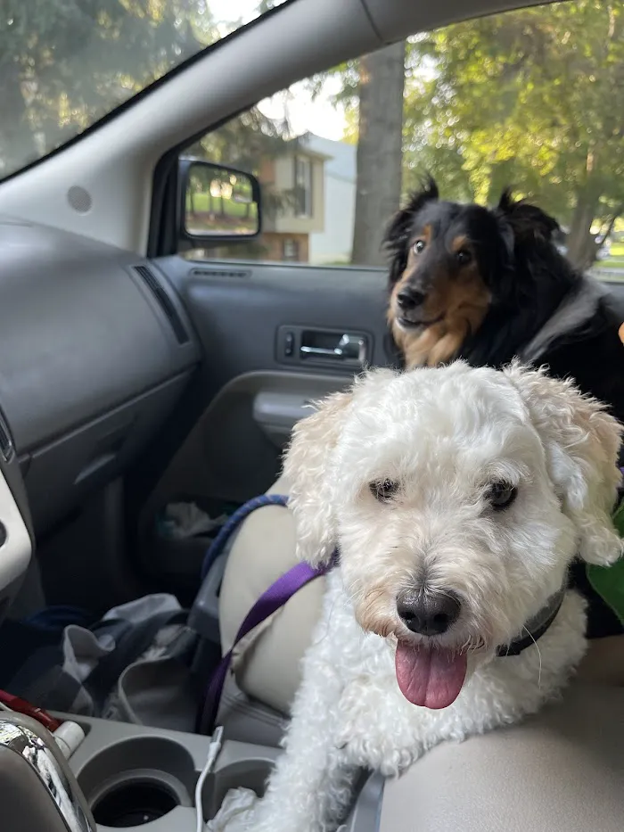 Small Door Veterinary - Spring Valley 12