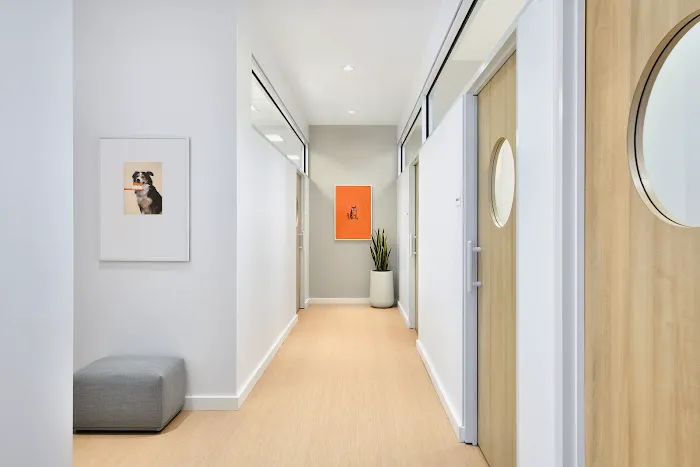 Small Door Veterinary - Spring Valley 12