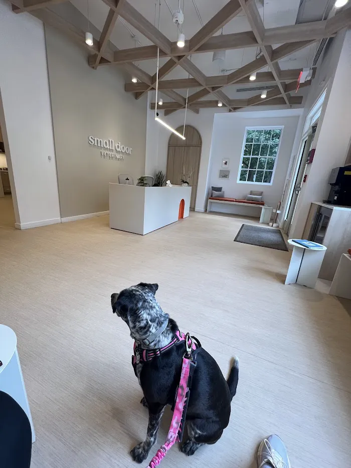 Small Door Veterinary - Spring Valley 12