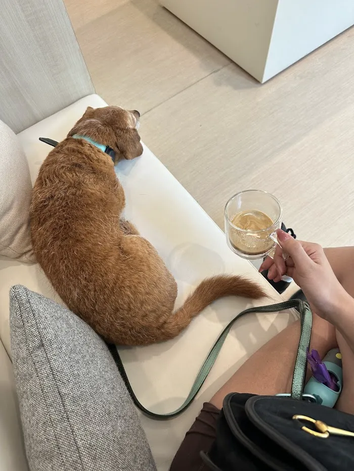 Small Door Veterinary - 14th Street 9