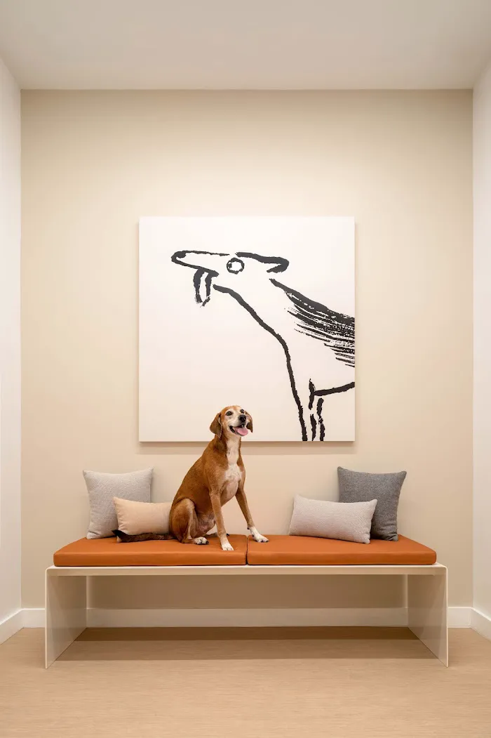 Small Door Veterinary - 14th Street 8