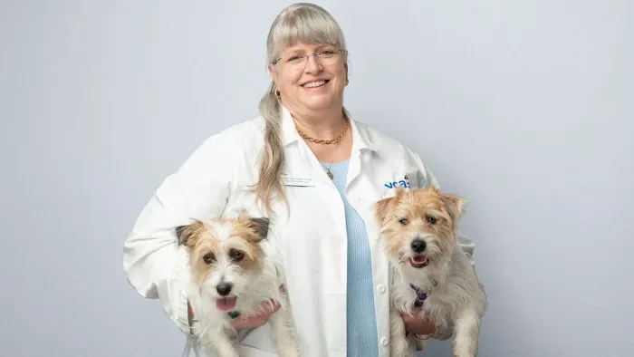 VCA SouthPaws Veterinary Specialists & Emergency Center 12