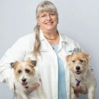 VCA SouthPaws Veterinary Specialists & Emergency Center ico