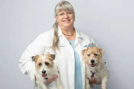 VCA SouthPaws Veterinary Specialists & Emergency Center