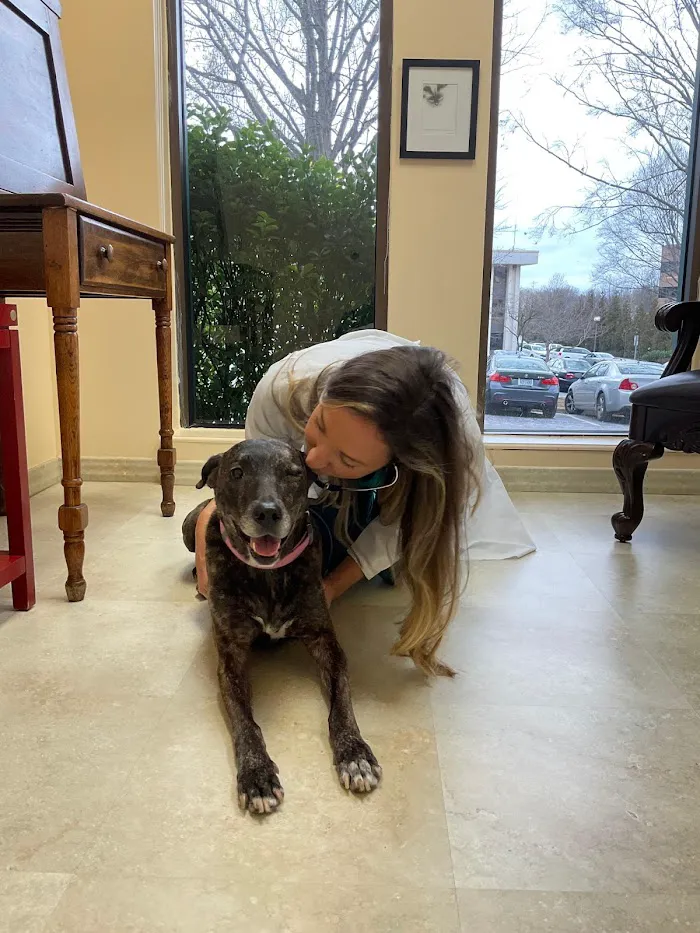 VCA SouthPaws Veterinary Specialists & Emergency Center 12