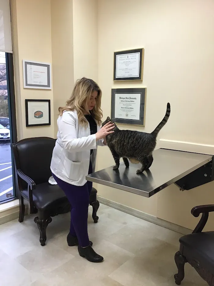 VCA SouthPaws Veterinary Specialists & Emergency Center 12