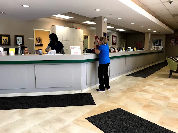 VCA SouthPaws Veterinary Specialists & Emergency Center 12