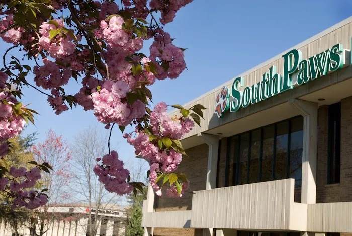 VCA SouthPaws Veterinary Specialists & Emergency Center 12