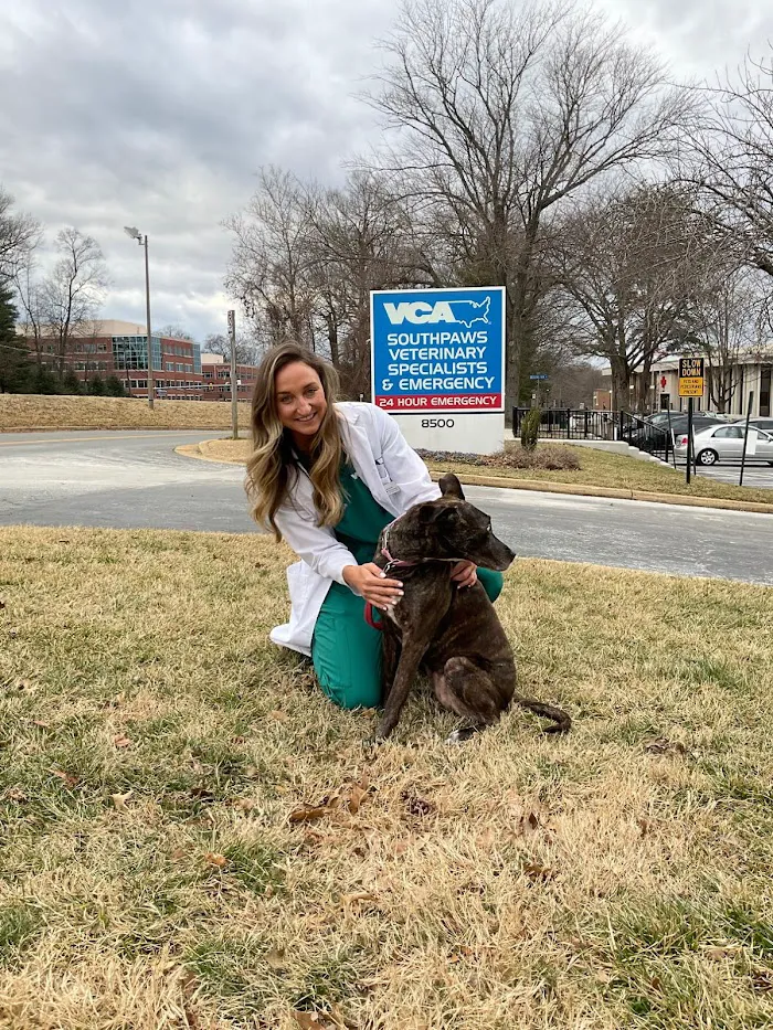 VCA SouthPaws Veterinary Specialists & Emergency Center 12