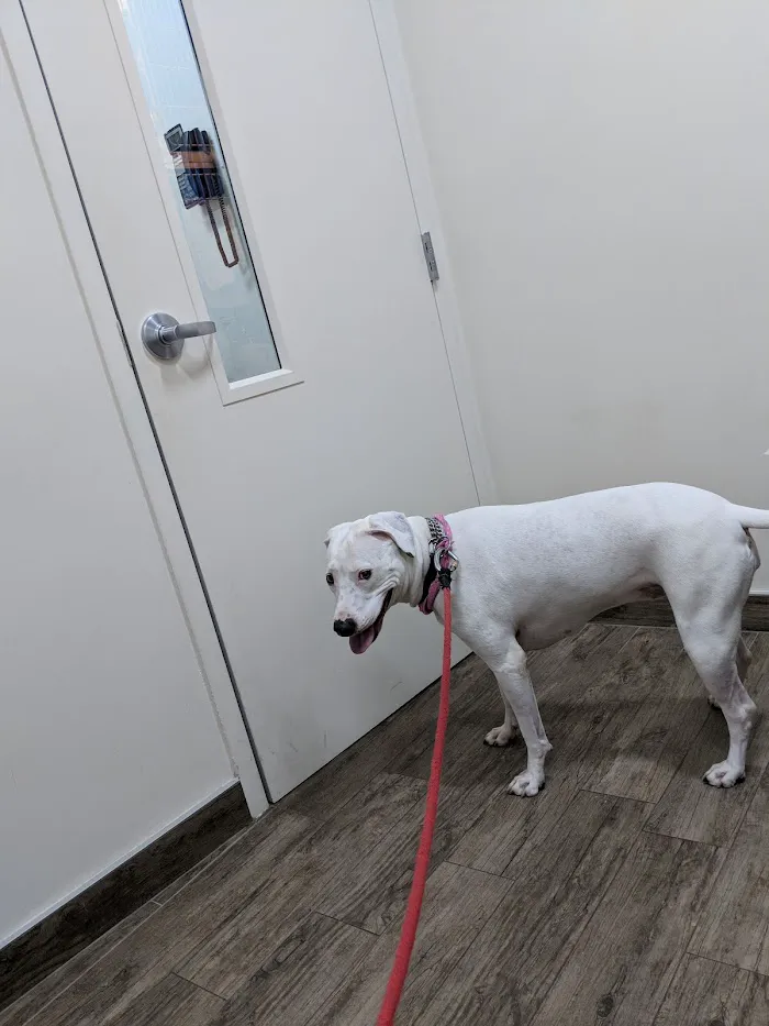 Cherrydale Veterinary Clinic 12