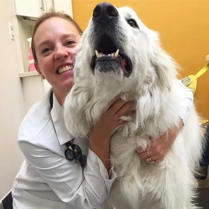 Palisades Veterinary Clinic 12