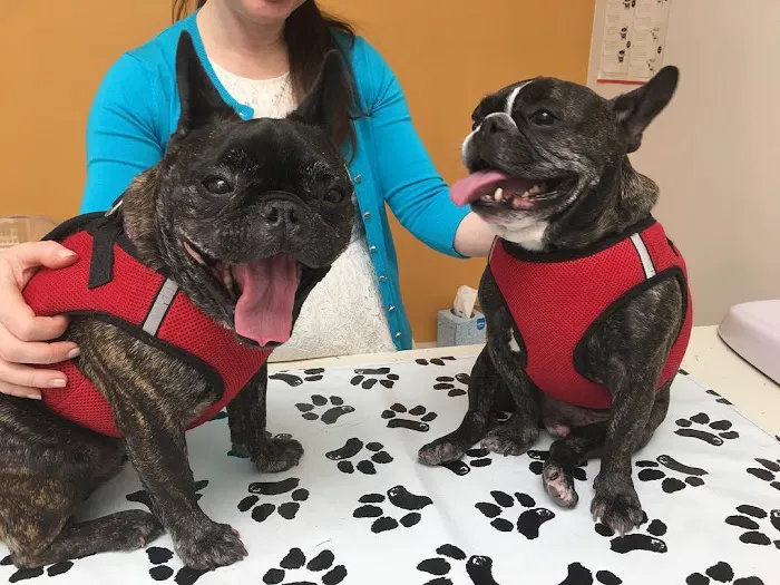 Palisades Veterinary Clinic 12
