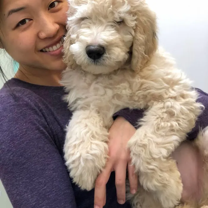 Palisades Veterinary Clinic 12