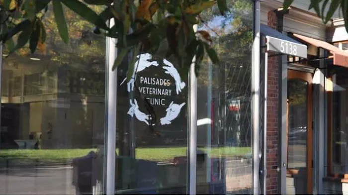 Palisades Veterinary Clinic 12