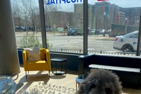 District Veterinary Hospital - Navy Yard