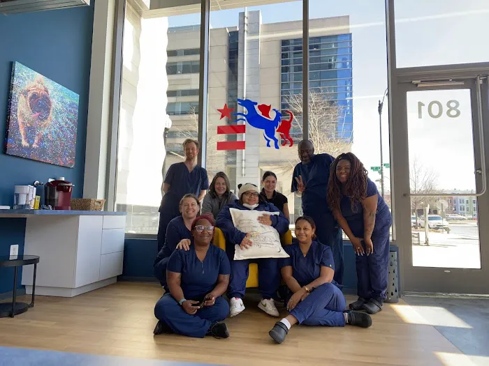 District Veterinary Hospital - Navy Yard 4