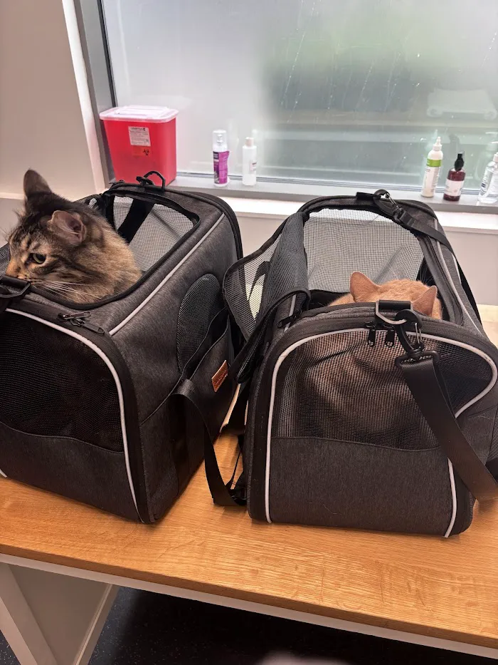 District Veterinary Hospital - Navy Yard 8