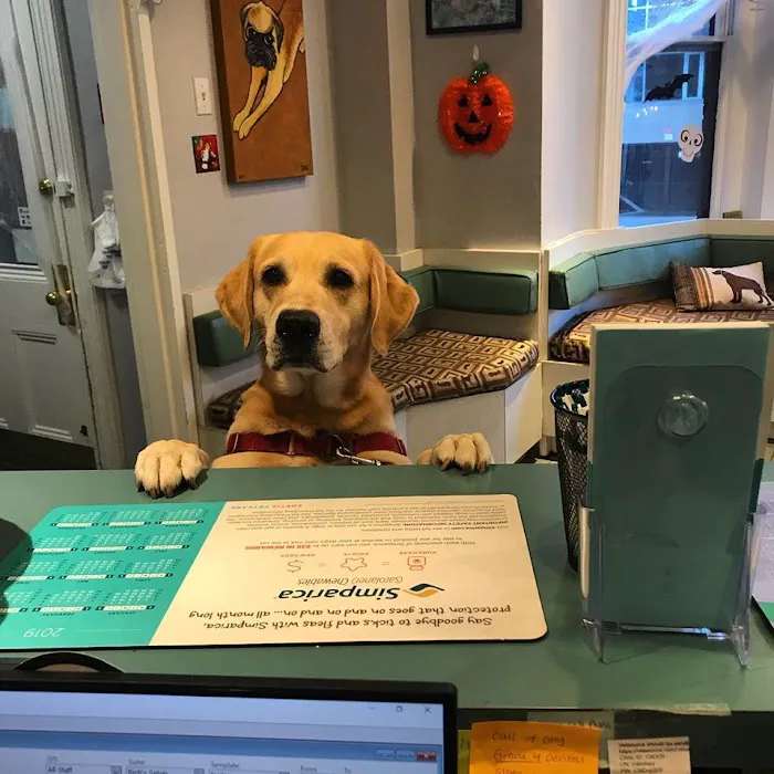 Dupont Veterinary Clinic 12