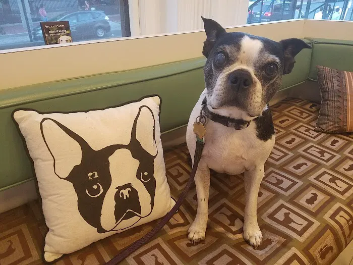 Dupont Veterinary Clinic 12