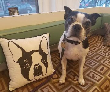 Dupont Veterinary Clinic