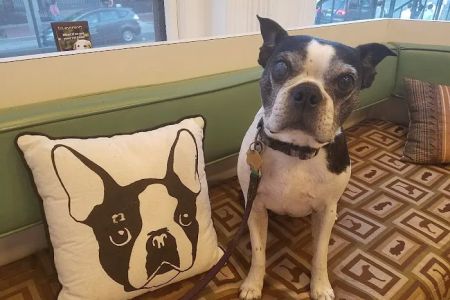 Dupont Veterinary Clinic