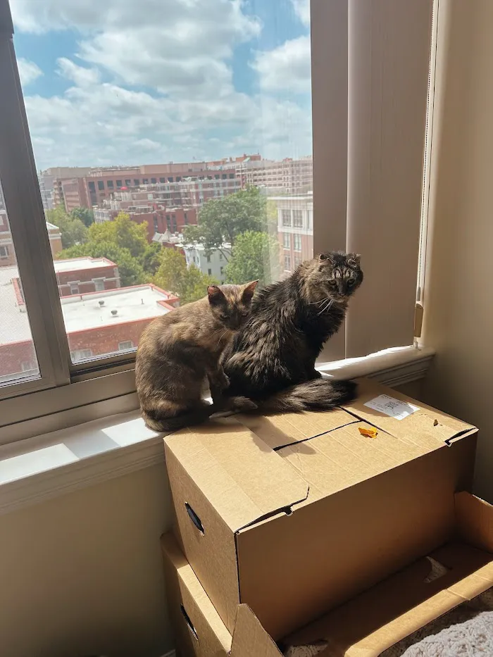 Dupont Veterinary Clinic 12