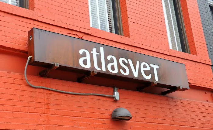 Atlasvet 4
