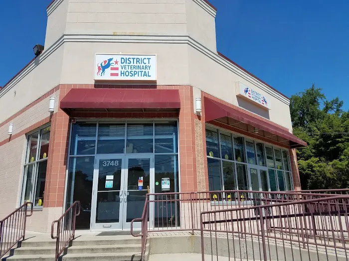 District Veterinary Hospital Brookland 12