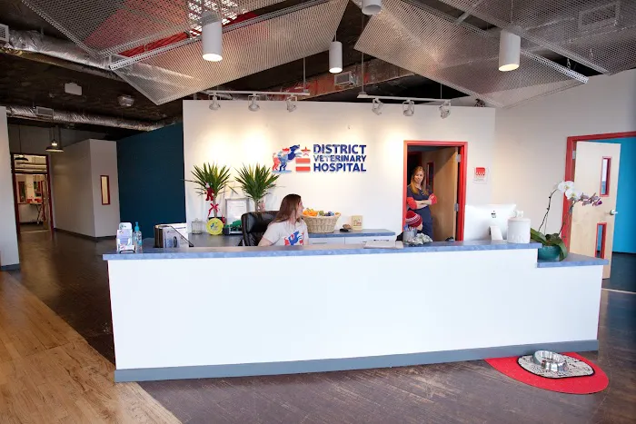 District Veterinary Hospital Brookland 12
