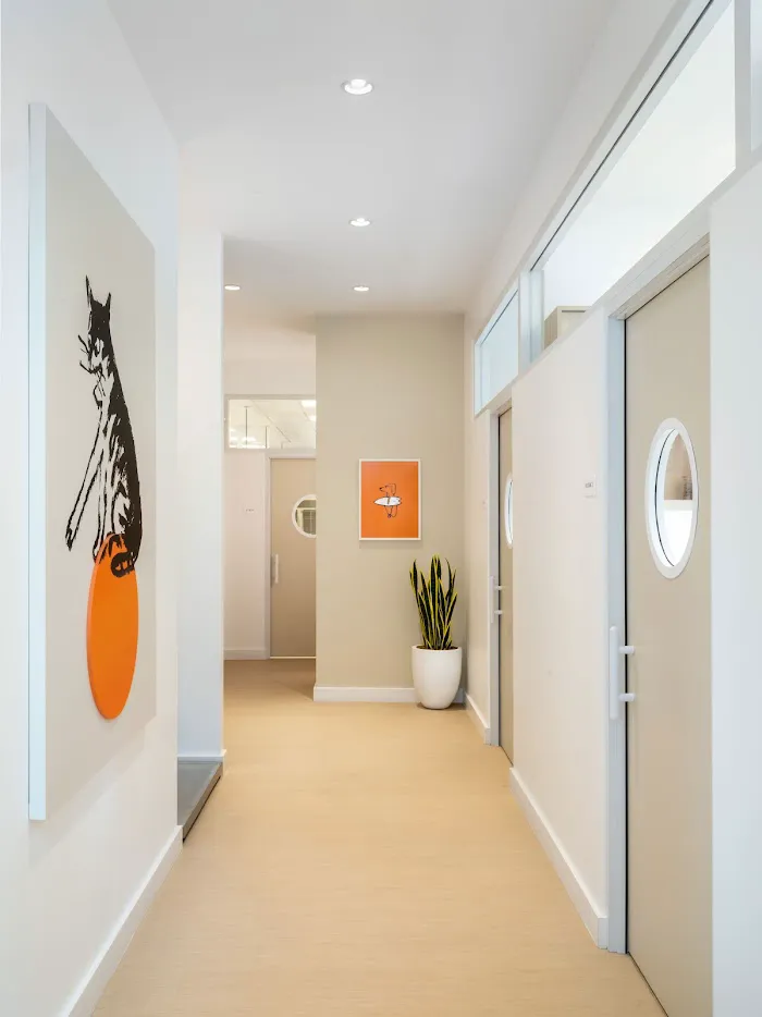 Small Door Veterinary - Navy Yard 7