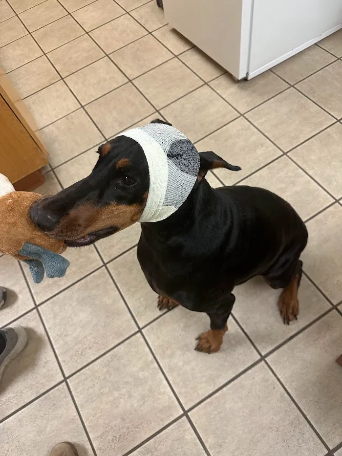 Fort Myer Veterinary Treatment Facility 12
