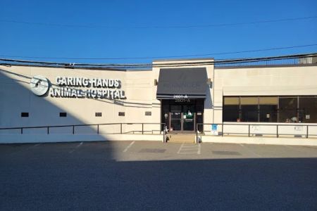 Caring Hands Animal Hospital - Clarendon