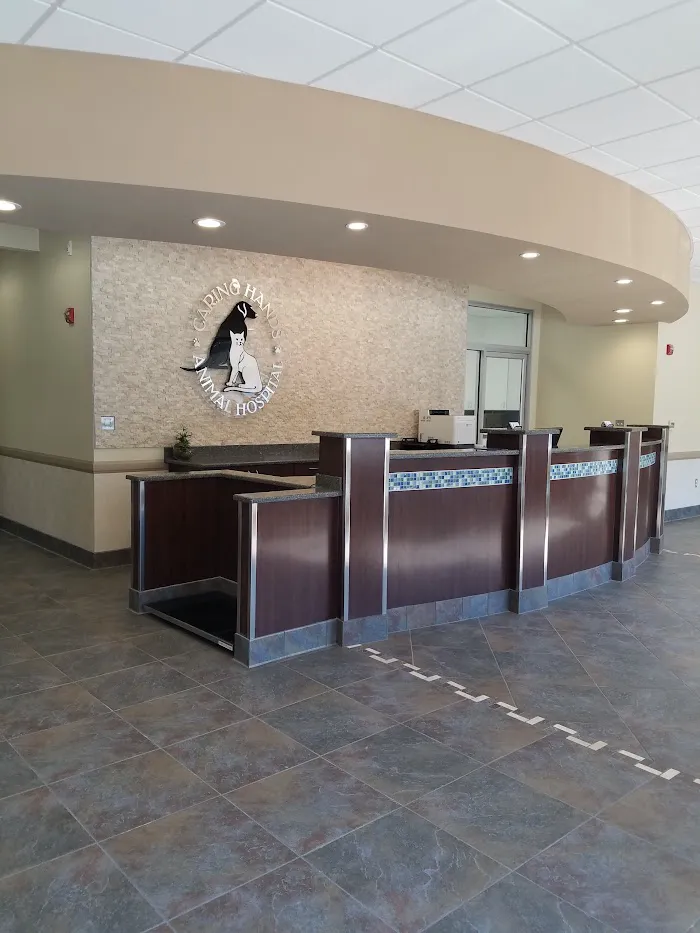 Caring Hands Animal Hospital - Clarendon 12