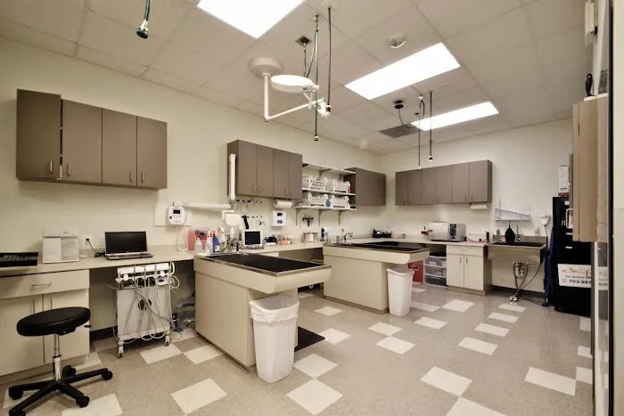Clarendon Animal Care 12