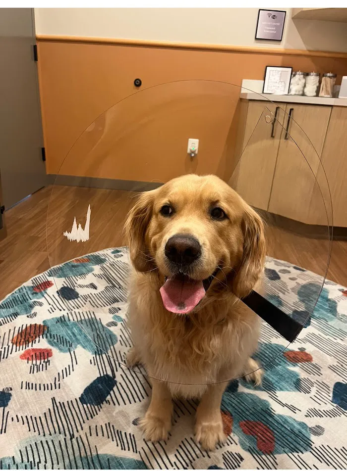 Urgent Animal Care of Arlington 12
