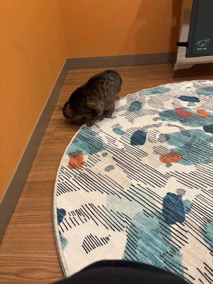 Urgent Animal Care of Arlington 12