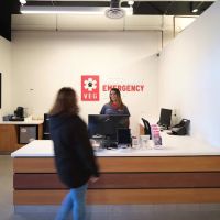 Veterinary Emergency Group ico