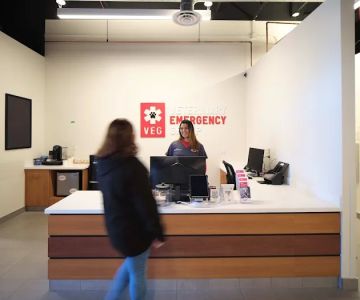 Veterinary Emergency Group