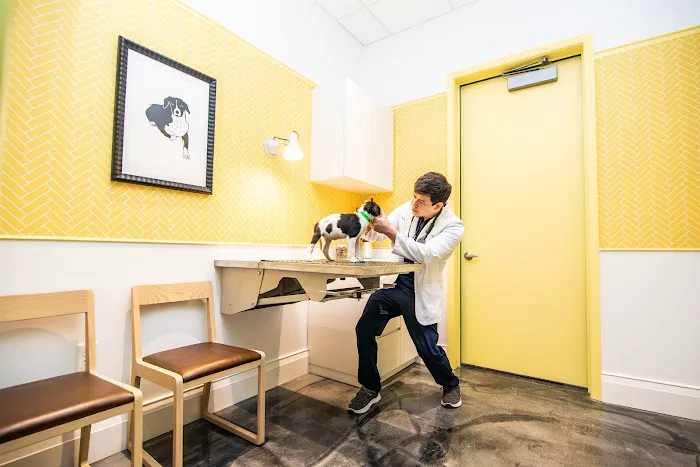 Parker & Ace Veterinary Care 12
