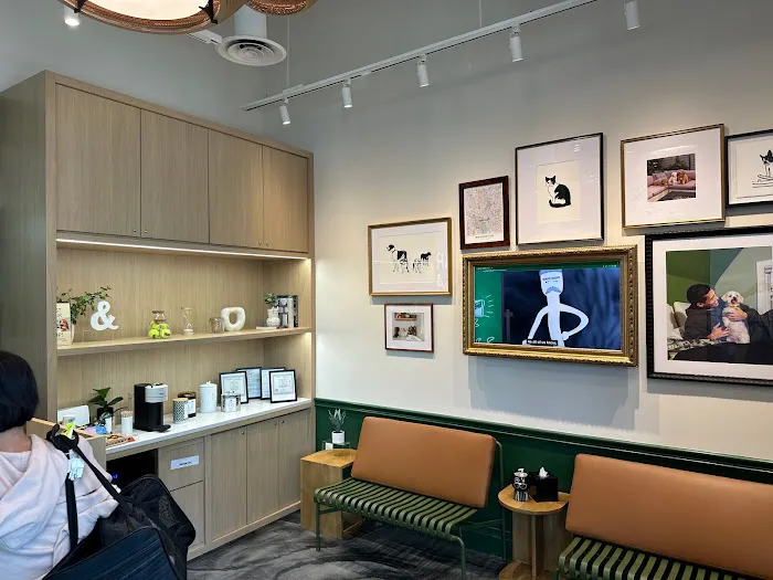 Parker & Ace Veterinary Care 12