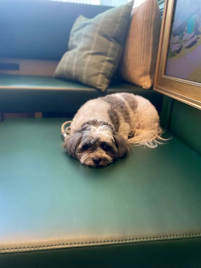 Parker & Ace Veterinary Care 12
