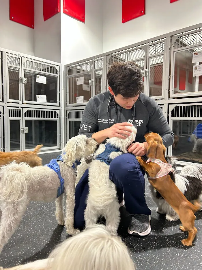 Parker & Ace Veterinary Care 12