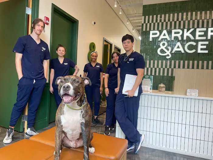 Parker & Ace Veterinary Care 12