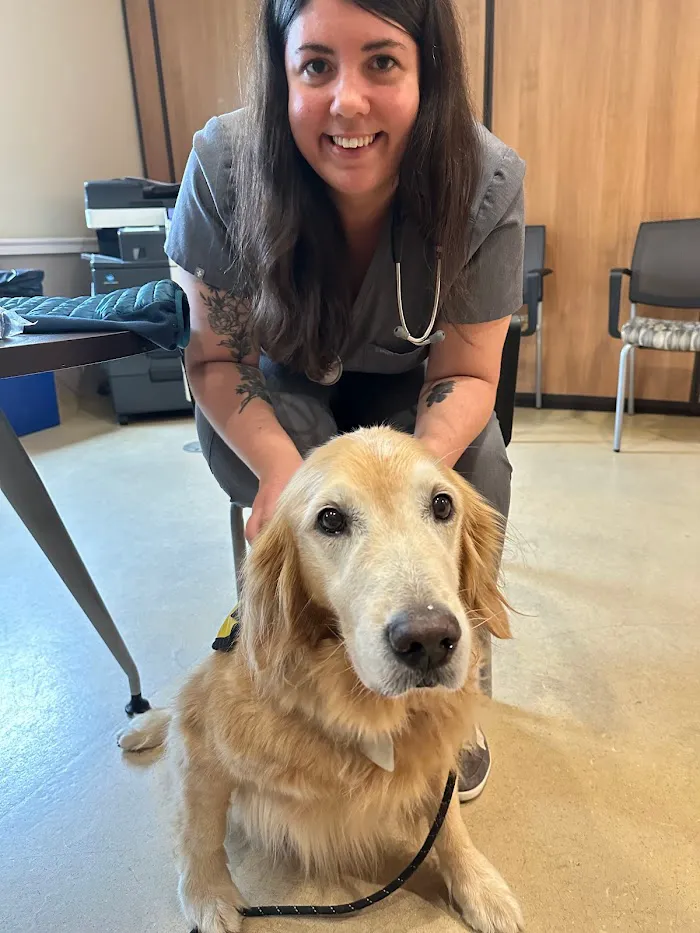 Friendship Hospital For Animals 12