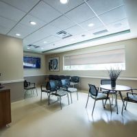 Friendship Hospital For Animals ico