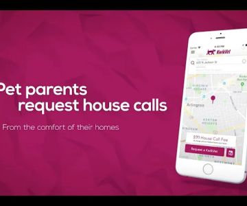 KwikVet - 24 hour veterinarians